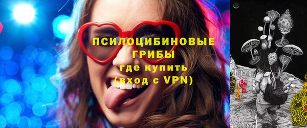 спиды Заводоуковск